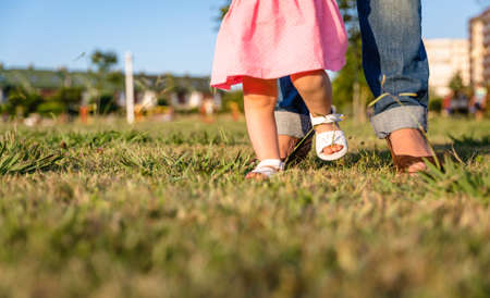 Adorable baby girl learning to walk with his mother on the grass park in a sunny summer dayの写真素材