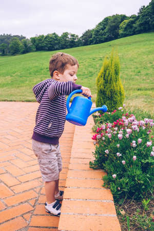 Portrait of happy cute boy watering flowers in the garden with a blue watering canの写真素材