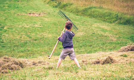 Back view of cute boy raking dry hay with rake on a fieldの写真素材