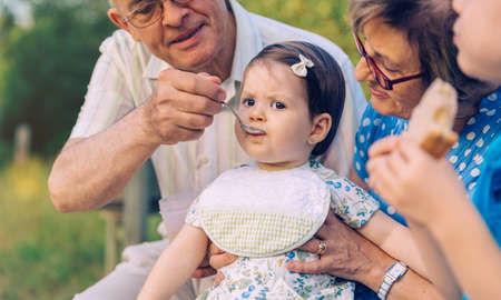 Closeup of senior man feeding with fruit puree to adorable baby girl sitting over a senior woman in a bench outdoors. Grandparents and grandchildren lifestyle concept.の写真素材