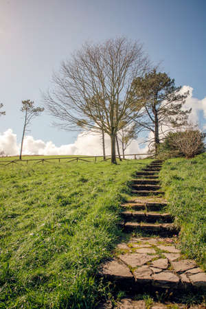 Stone stairs in natural landscape over sky with clouds on backgroundの写真素材