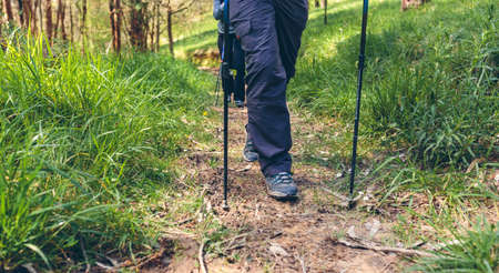 Unrecognizable couple of hikers doing trekking with trekking poles outdoors
