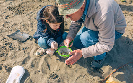 Grandfather and granddaughter volunteers picking up microplastics on the beach