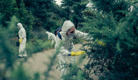 People with bacteriological protection suits looking for evidence outdoorsの写真素材