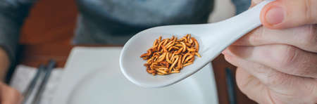 Man showing a spoonful of worms ready to eatの写真素材