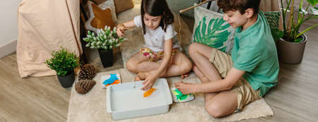 Happy brothers camping at home playing diy fishing gameの写真素材