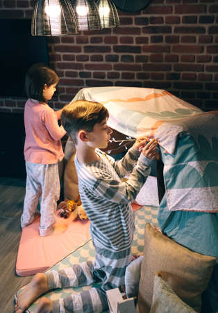 Boy helping little sister putting garland of lights in a tent for slumber partyの写真素材
