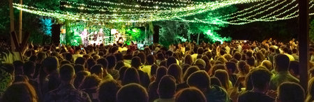 Back view of unrecognizable people listening concert on a summer night music festival in nature...
