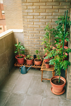 Small vegetable garden on balcony of town apartment with varieties of green plants growing on a ceramic pots and watering can on ground. Urban sustainable organic garden concept.の写真素材
