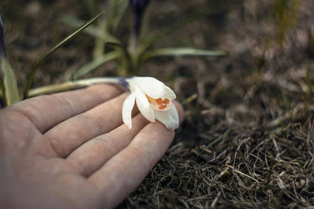 the concept of careful attitude to nature.の写真素材