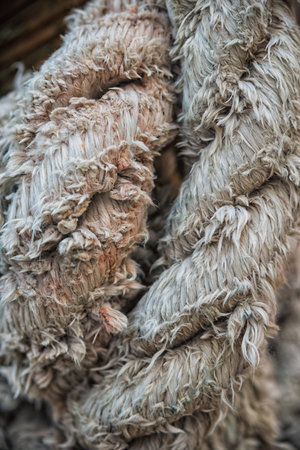 old rope close-up