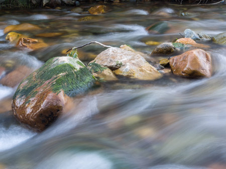 Water streamの写真素材