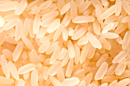 riceの写真素材