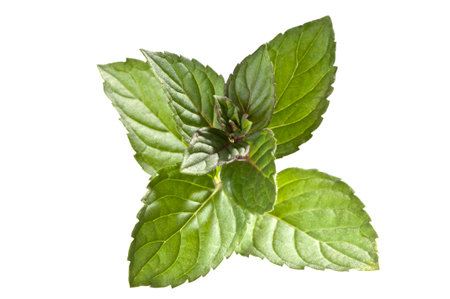 green mint