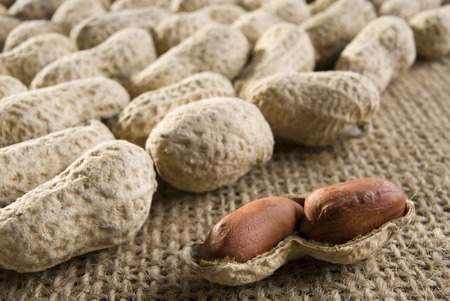 peanutsの写真素材