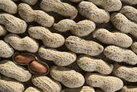 peanutsの写真素材