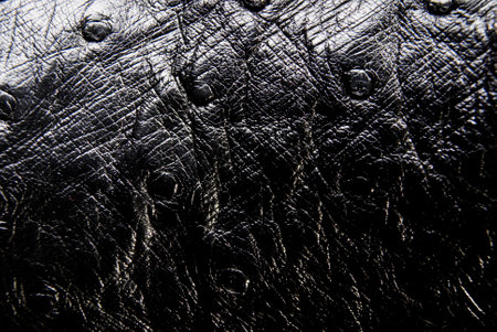 Leather backgroundの写真素材