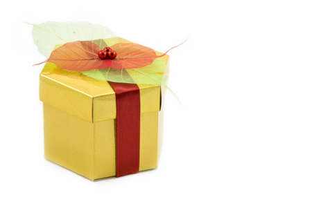 Gold box with a red ribbon, shot on white 