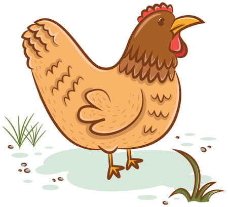 Beautiful hen isolated on white backgroundのイラスト素材