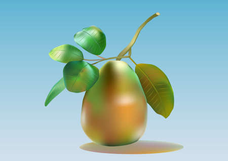 Pear   is one of the tastiest fruits in the world  のイラスト素材