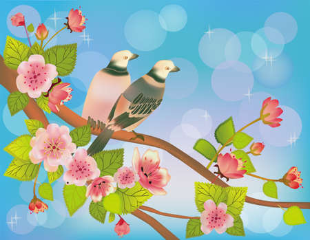 	sakura ,bird , spring , postcard  のイラスト素材