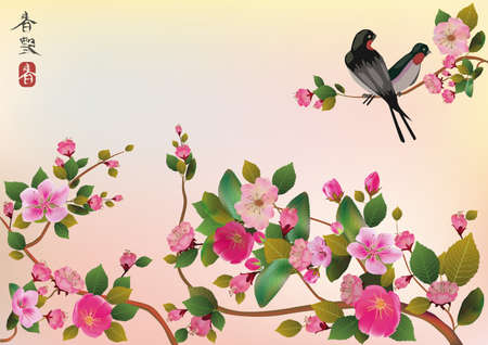 sakura ,bird , spring , postcard  のイラスト素材