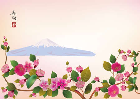 Fuji  Cherry blossoms, spring has come  のイラスト素材