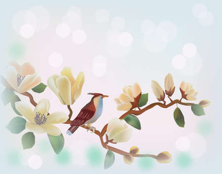 Blooming magnolia in spring, a bird sitting on a branch のイラスト素材