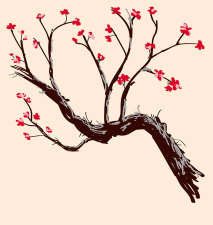 sakura   postcard   menu のイラスト素材