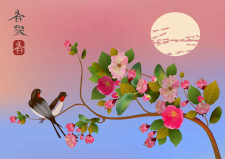 Evening in the garden blooming cherry and birds sing . Sakuraのイラスト素材