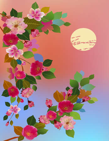 Evening in the garden blooming cherry .Sakuraのイラスト素材