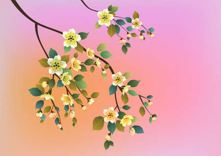 sakura .Evening in the garden blooming cherryのイラスト素材