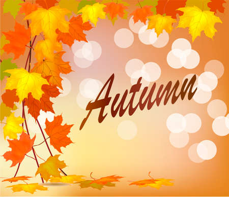 autumn foliage vector sale bannerのイラスト素材