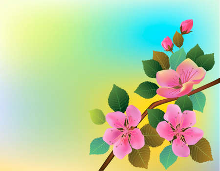 Nature background with blossom branch of pink sakura flowers.のイラスト素材