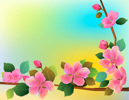 Nature background with blossom branch of pink sakura flowers.のイラスト素材