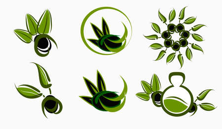 vector illustration of a label of olive oil.のイラスト素材