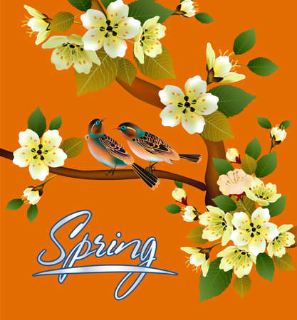 Vector illustration spring. All wakes up, flowers sakura blossom.Postcardのイラスト素材