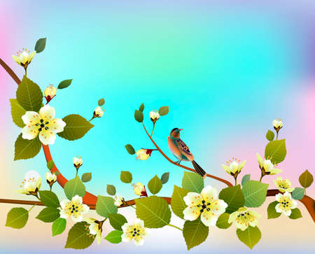 Spring. All wakes up, flowers sakura blossom.のイラスト素材