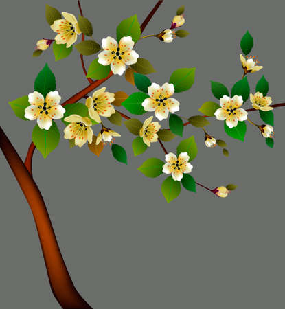 Spring. All wakes up, flowers sakura blossom.のイラスト素材