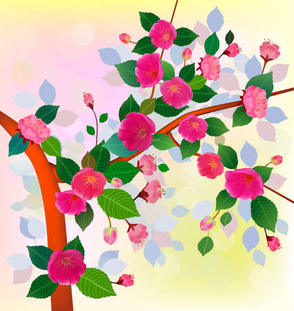 Spring. All wakes up, flowers sakura blossom.のイラスト素材