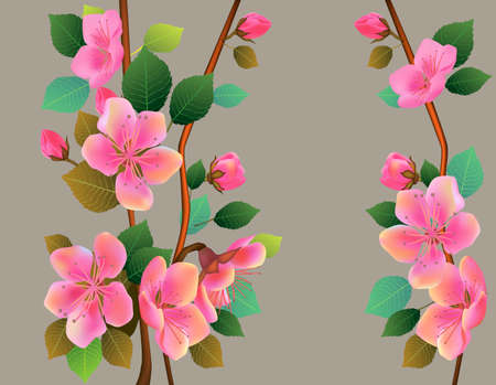 Spring. Sakura flowers are blooming. Springtime flowering of trees.のイラスト素材