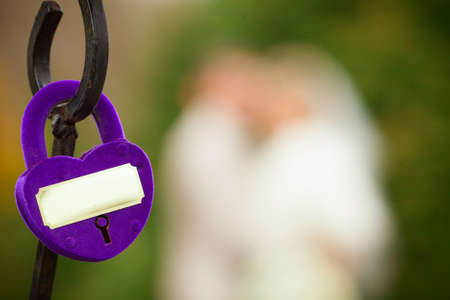 Castle wedding on forged latticeの写真素材