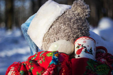 Sick teddy bear in the woodの写真素材