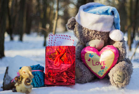 Christmas toys with presents in the woodの写真素材