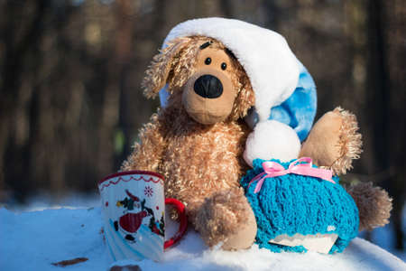 Christmas toys with presents in the woodの写真素材