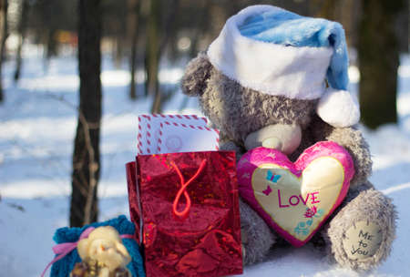 Christmas toys with presents in the woodの写真素材