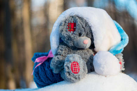 Christmas toys with presents in the woodの写真素材