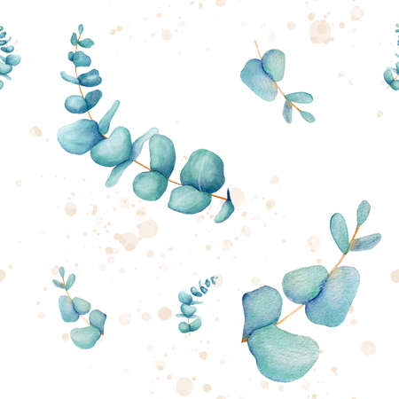 Watercolor delicate floral pattern eucalyptus with splashes. Hand drawn. Botanical art background. For wedding stationary, greetings, wallpapers, fashion, background. Eucalyptus, cottonの写真素材