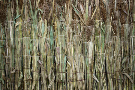 Thatch roof background, hay or dry grass background