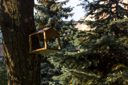 wooden birdhouse on a tree branch, christmas threeの写真素材